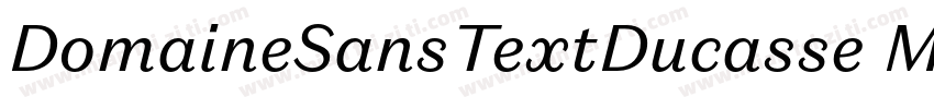 DomaineSansTextDucasse Medium字体转换